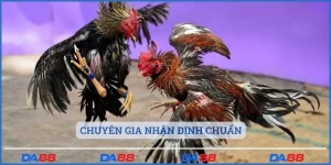 Chuyên gia nhận định chuẩn