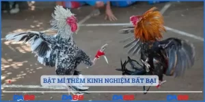 Bật mí thêm kinh nghiệm bất bại