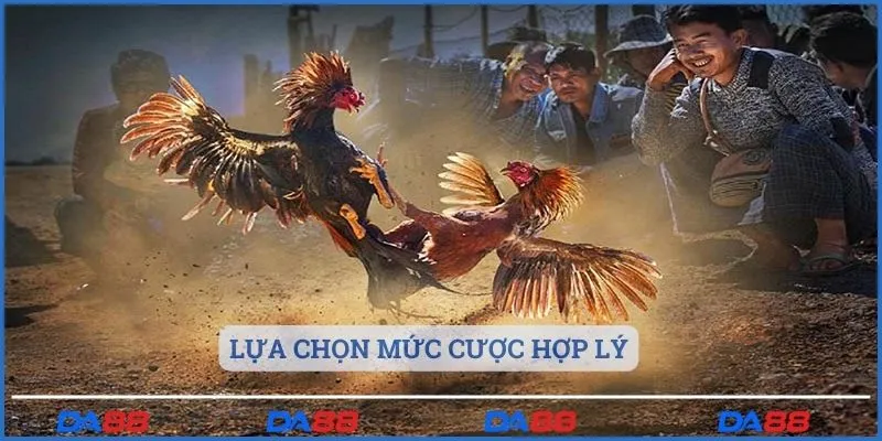 Lựa chọn mức cược hợp lý