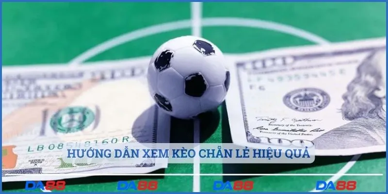 Hướng dẫn xem kèo chẵn lẻ hiệu quả